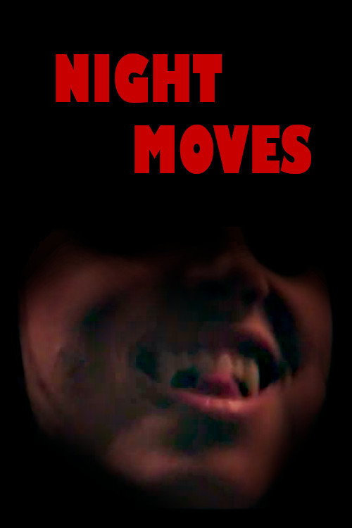 Movie poster for Night Moves (2009)