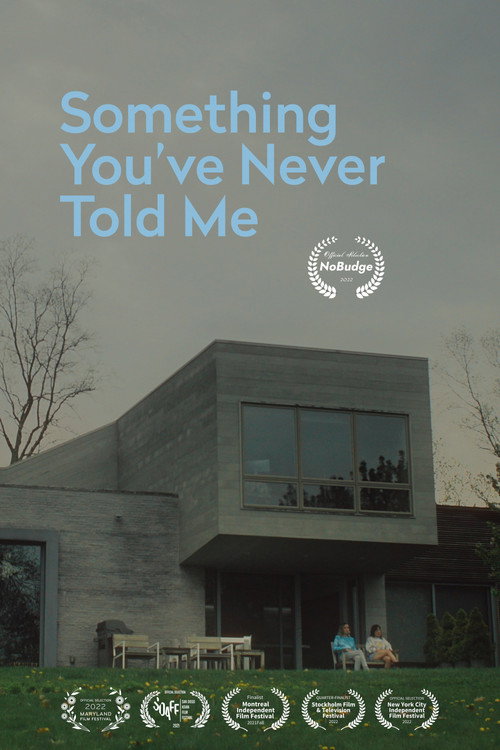Movie poster for Something You've Never Told Me (2021)