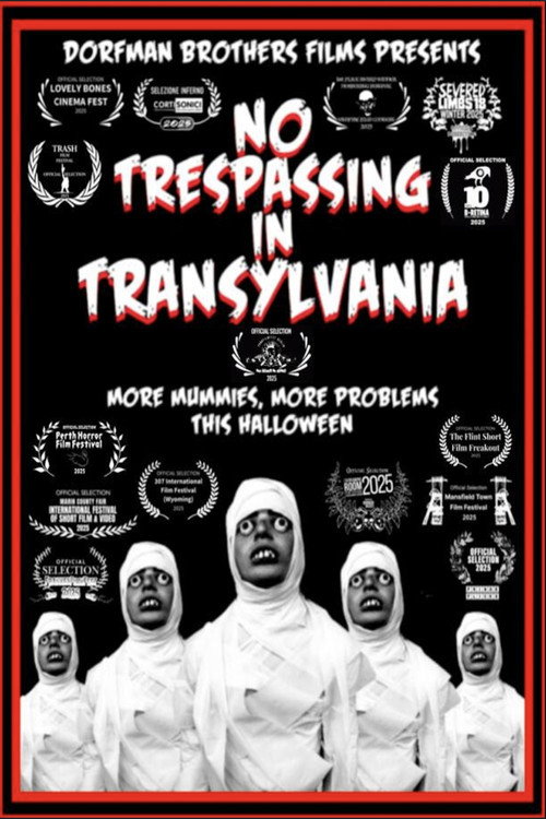 Movie poster for No Trespassing In Transylvania (2025)