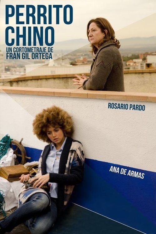 Movie poster for Perrito Chino (2012)