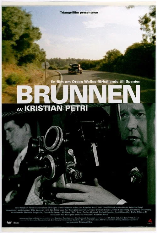 Movie poster for The Well (2005)