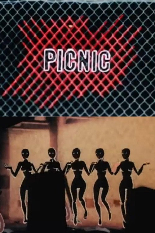 Movie poster for Picnic (1988)