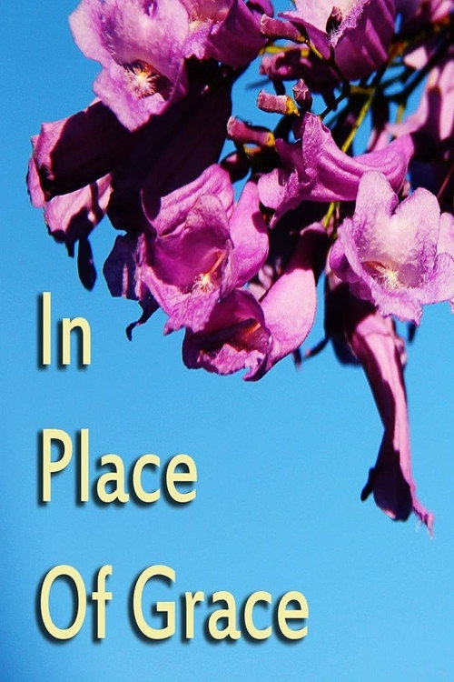 Movie poster for In Place of Grace (2017)