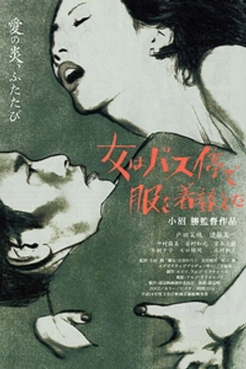 Movie poster for The Woman Changed Her Clothes at the Bus Stop (2003)