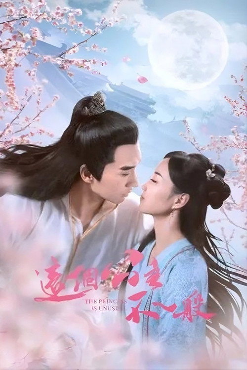 Series poster for The Princess Is Extraordinary (2022)