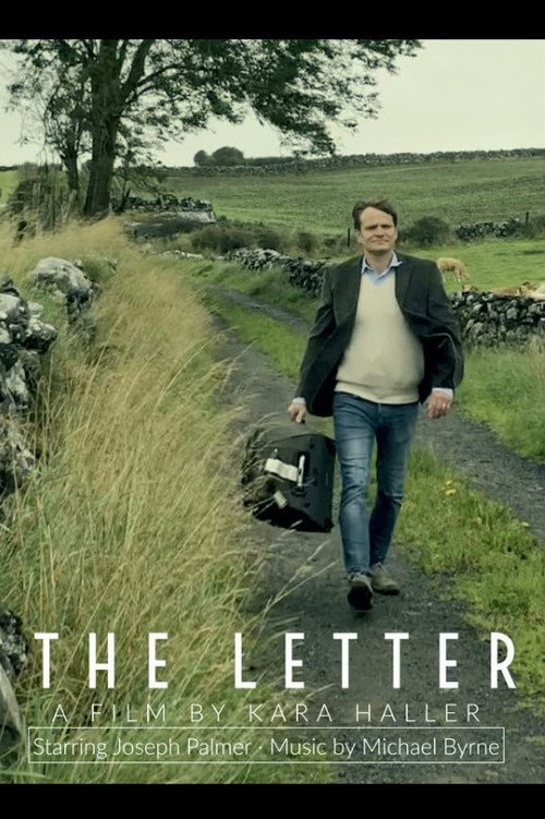 Movie poster for The Letter (2021)