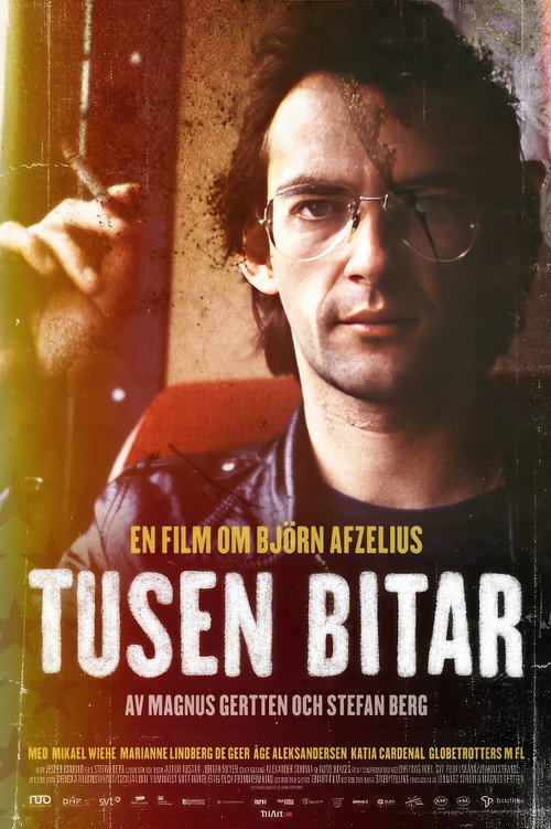 Movie poster for A Thousand Pieces (2014)