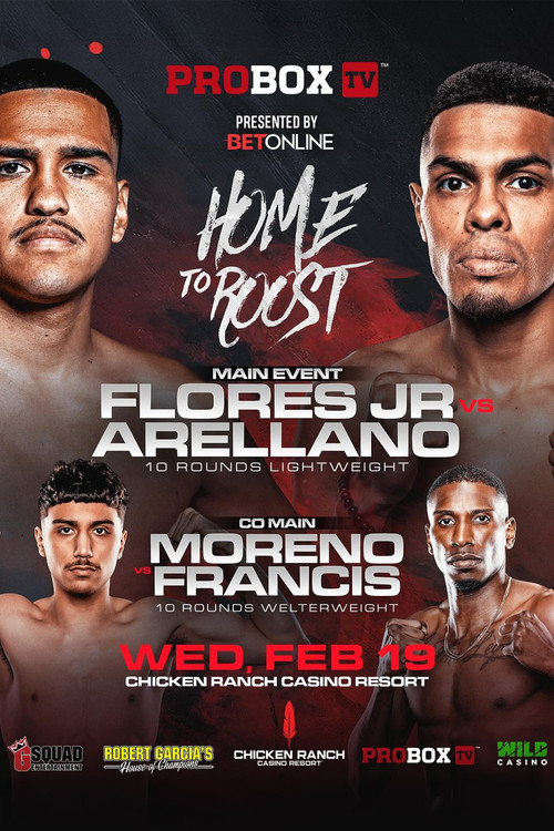 Movie poster for Gabriel Flores Jr. vs. Jose Arellano (2025)