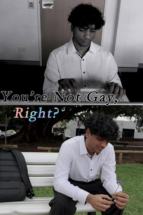 Movie poster for You're Not Gay, Right? (2024)