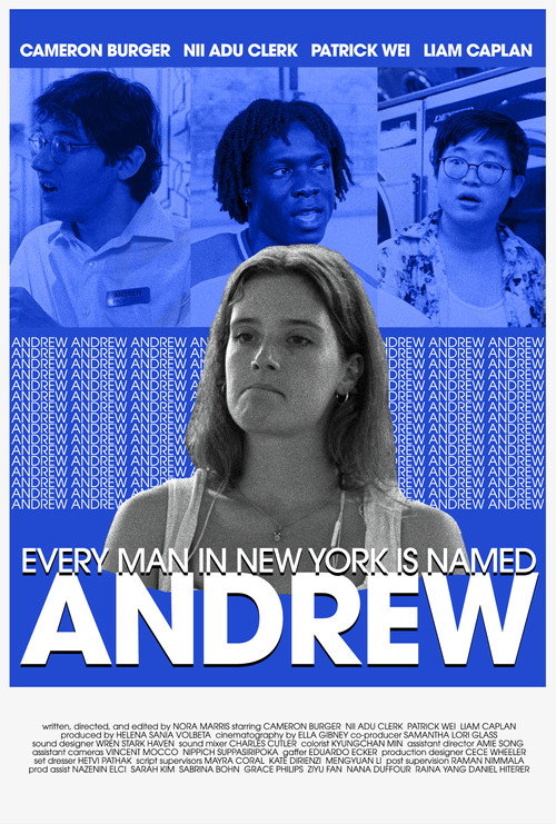 Movie poster for Every Man in New York Is Named Andrew (2025)