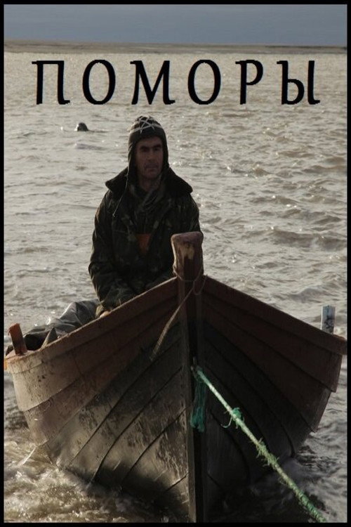 Movie poster for Pomors (2013)