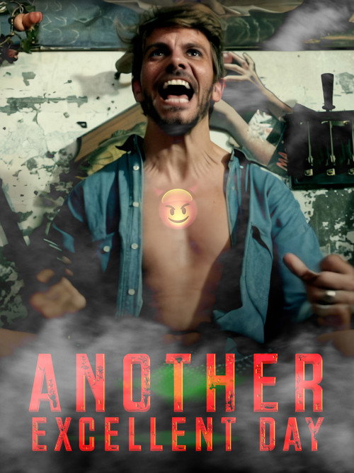 Movie poster for Another Excellent Day (2014)