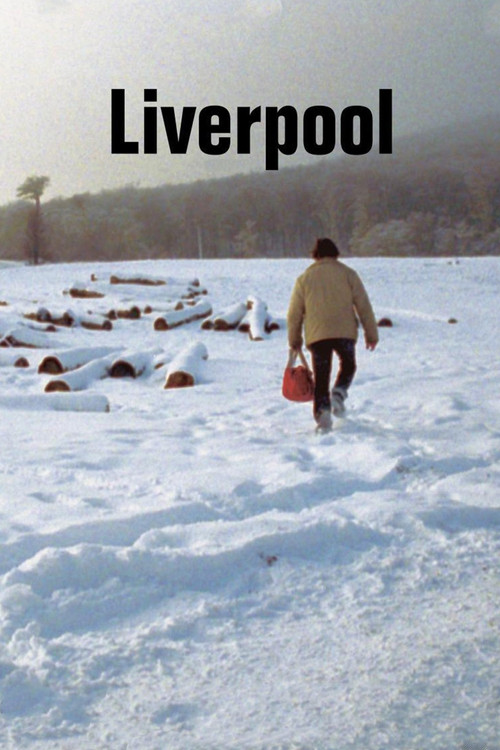 Movie poster for Liverpool (2008)