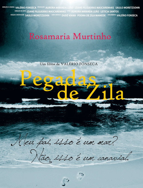 Movie poster for Pegadas de zila (2011)