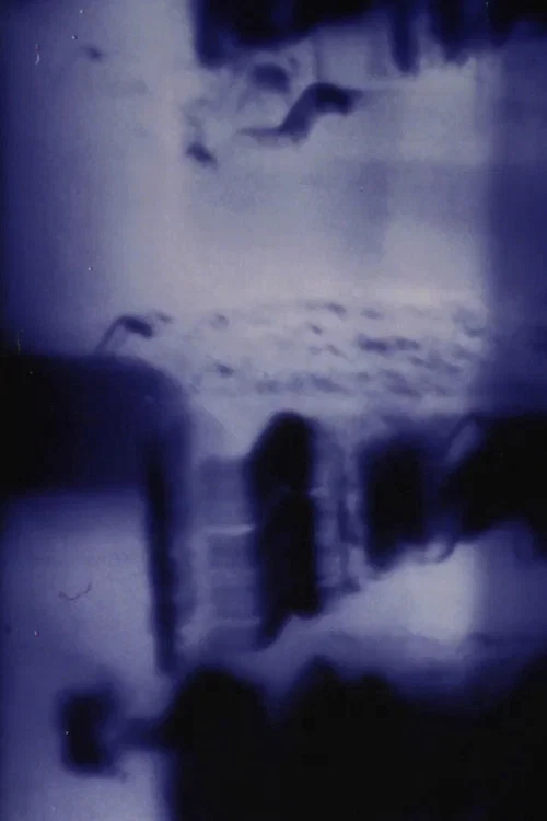 Movie poster for Imprint (1997)