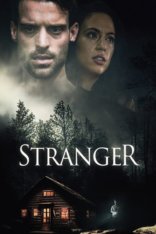 Movie poster for Stranger (2022)