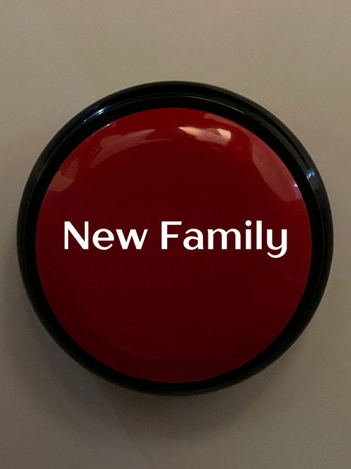 Movie poster for New Family (2024)