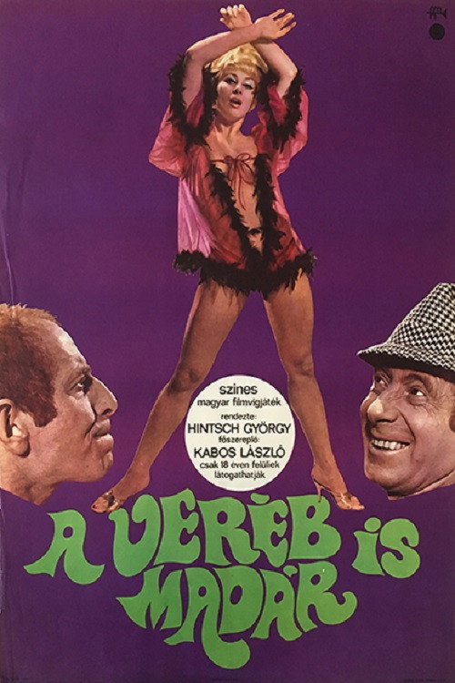 Movie poster for Sparrows Are Birds Too (1968)