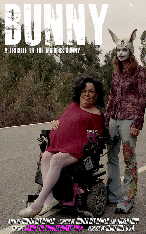 Movie poster for Bunny (2019)