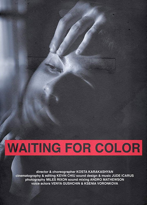 Movie poster for Waiting for Color (2018)