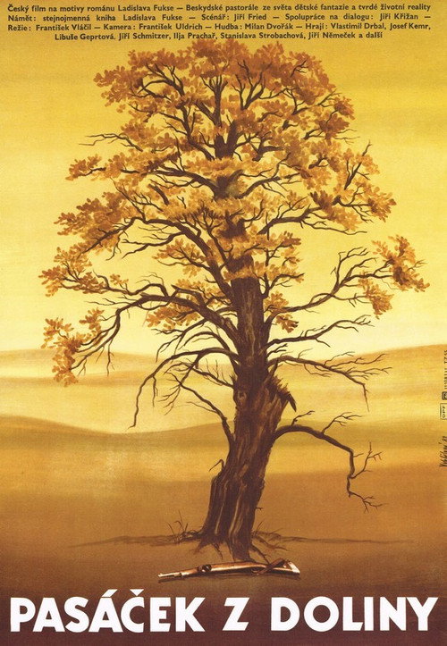 Movie poster for The Little Shepherd Boy from the Valley (1984)