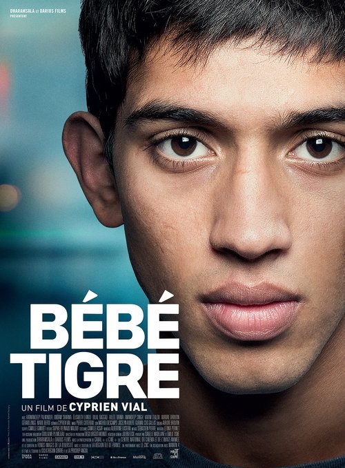 Movie poster for Young Tiger (2015)