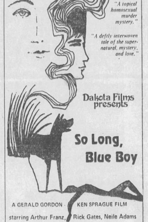 Movie poster for So Long, Blue Boy (1973)