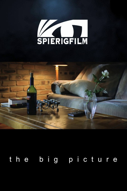 Movie poster for The Big Picture (2000)