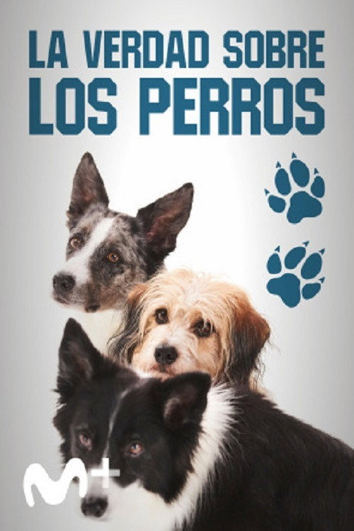 Movie poster for Dog Tales (2020)