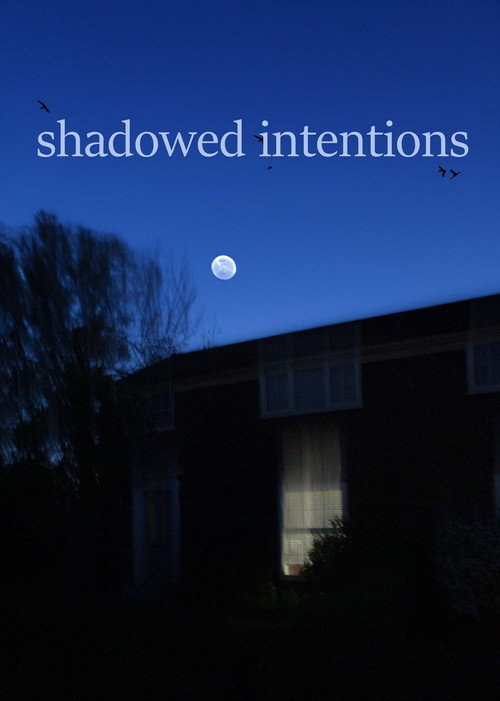 Movie poster for shadowed intentions (2024)