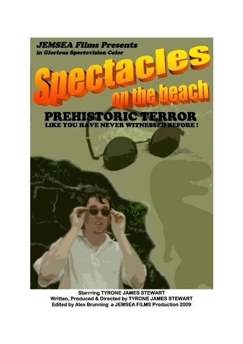 Movie poster for Spectacles on the Beach (2009)
