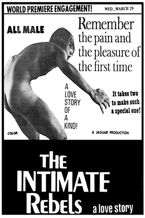 Movie poster for The Intimate Rebels (1972)