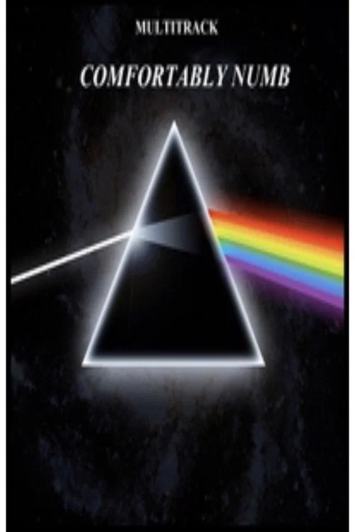 Movie poster for Pink Floyd - Comfortably Numb (2005)