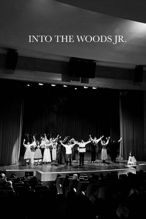 Movie poster for Into The Woods (AUS Productions) (2024)