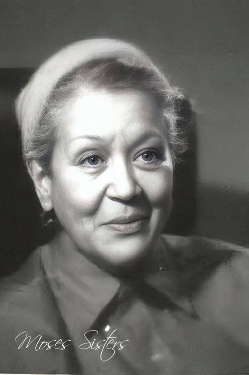 Movie poster for Moses Sisters Interview (1978)
