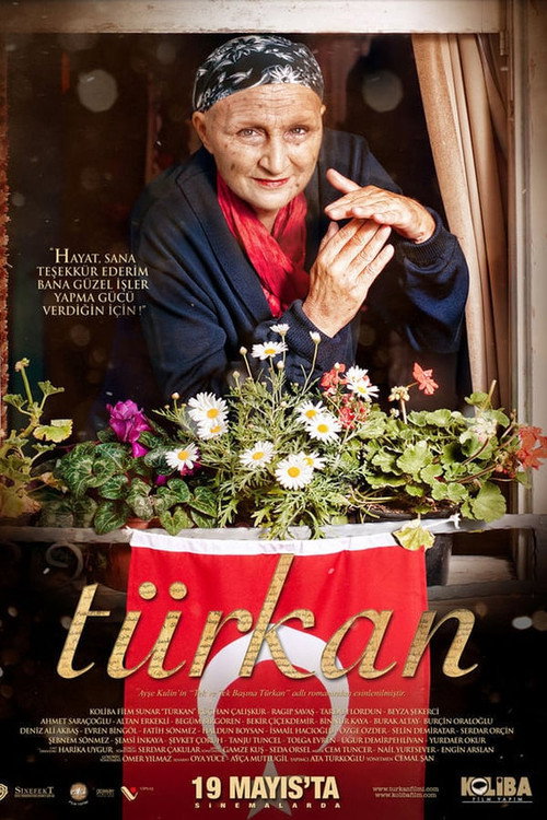 Movie poster for Türkan (2011)
