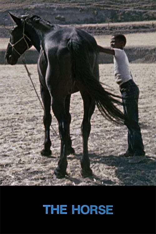 Movie poster for The Horse (1973)