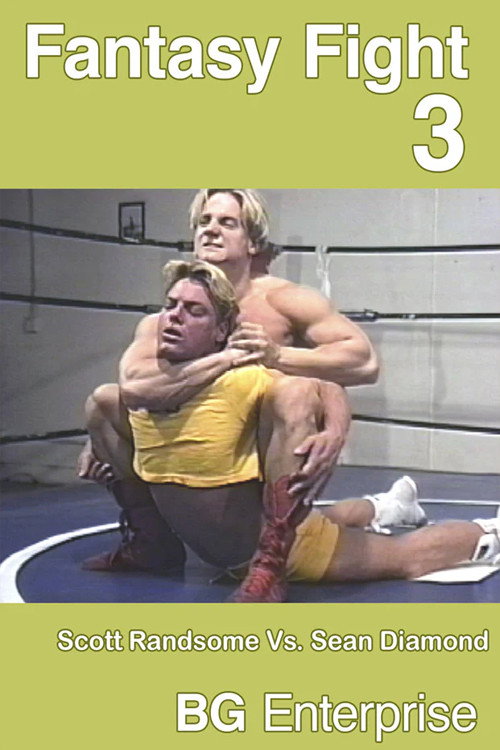 Movie poster for Fantasy Fight 3 (1995)
