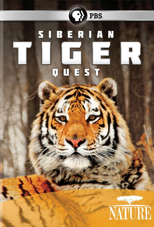 Movie poster for Siberian Tiger Quest (2012)