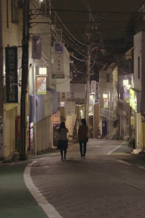 Movie poster for Overnight Walk (2018)