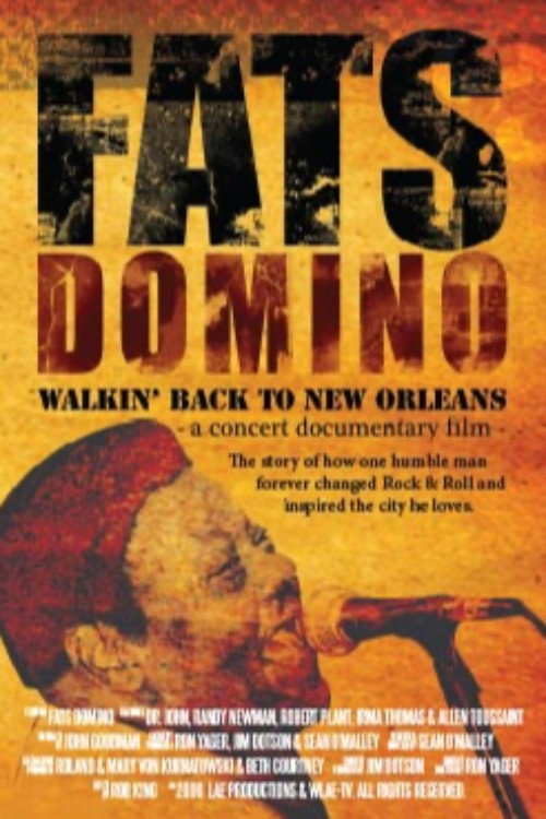 Movie poster for Fats Domino: Walkin' Back to New Orleans (2008)