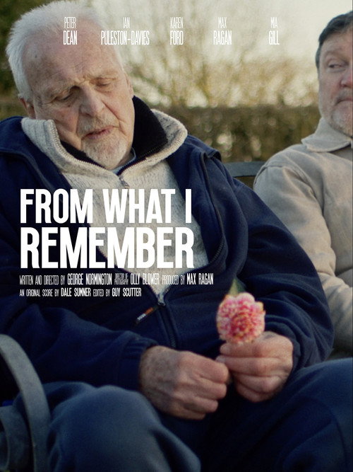 Movie poster for From What I Remember