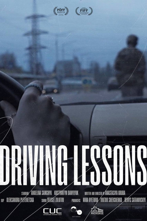 Movie poster for Driving Lessons (2024)