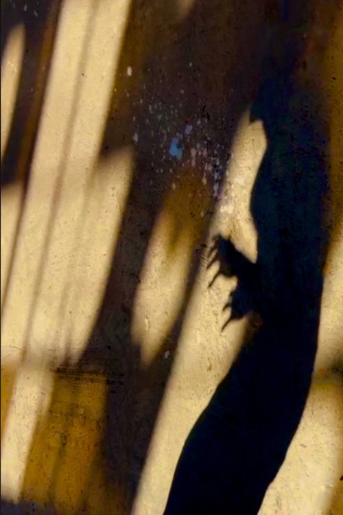 Movie poster for The Monster Part 2: Hunting the Hunted (2025)