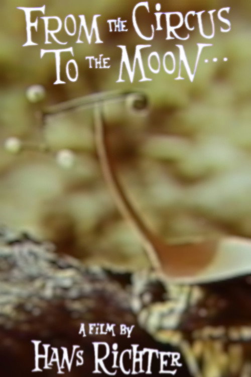 Movie poster for From the Circus to the Moon (1963)