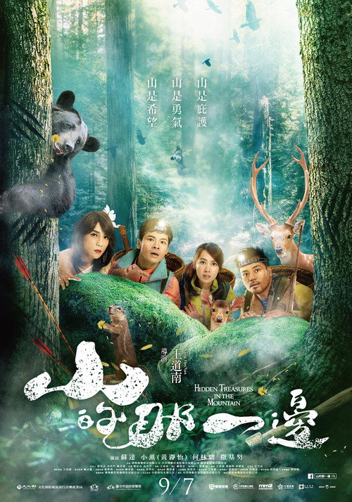 Movie poster for Hidden Treasures in the Mountain (2018)