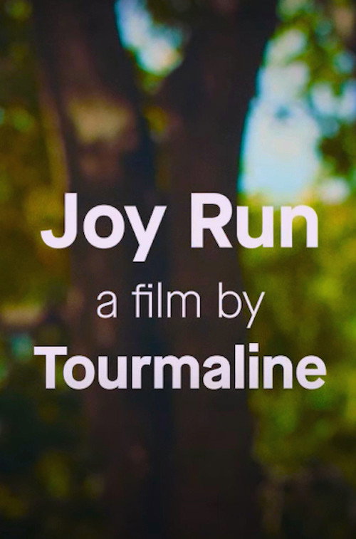 Movie poster for Joy Run (2020)