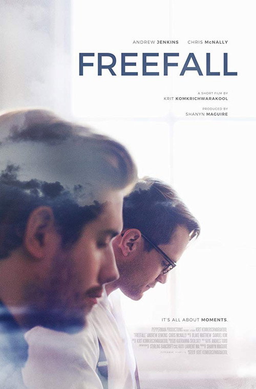 Movie poster for Freefall (2017)