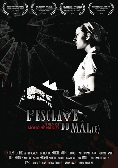 Movie poster for The Evil Slave (2015)