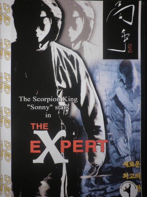 Movie poster for The Expert (1998)